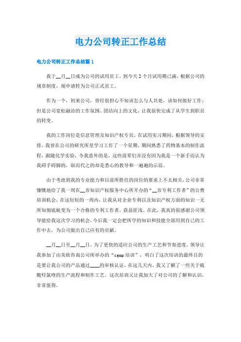 电力公司转正工作总结