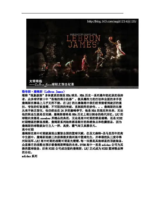 勒布朗詹姆斯的鞋