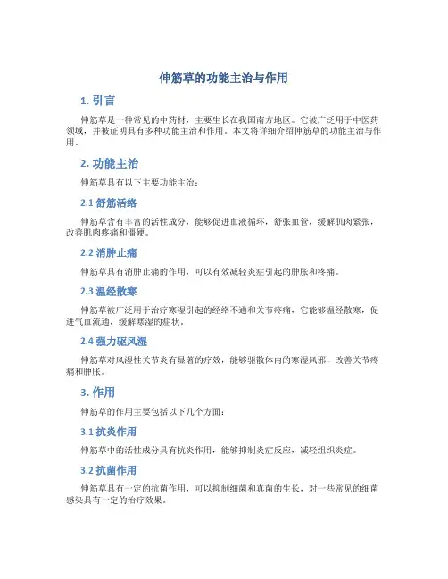 伸筋草的功能主治与作用