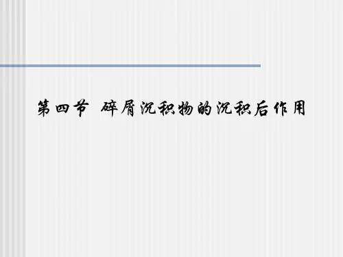 碎屑沉积物(岩)的沉积后作用