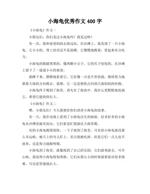 小海龟优秀作文400字