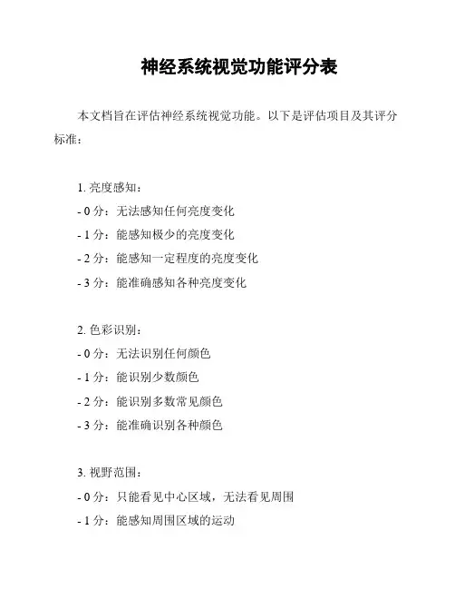 神经系统视觉功能评分表