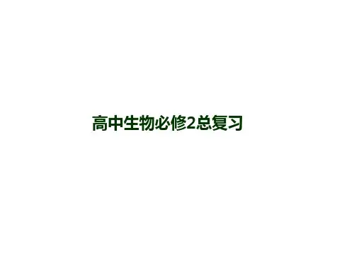 人教版生物必修二总复习课件