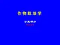 第十二讲小麦生物学基础详解