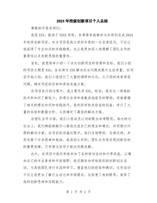 2024年校级创新项目个人总结