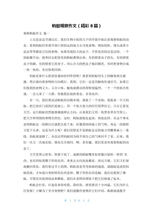 蚂蚁观察作文(精彩6篇)