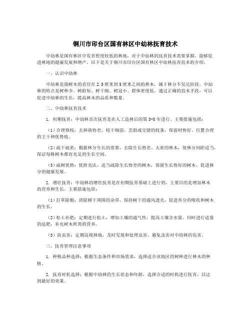 铜川市印台区国有林区中幼林抚育技术