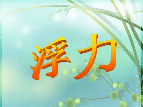 初中物理：浮力(flash_动画) PPT课件 图文