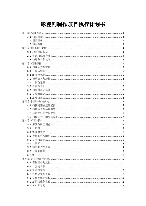 影视剧制作项目执行计划书