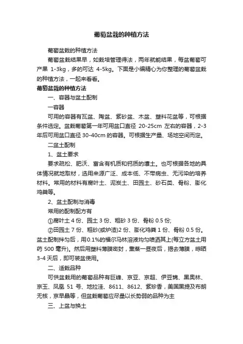葡萄盆栽的种植方法