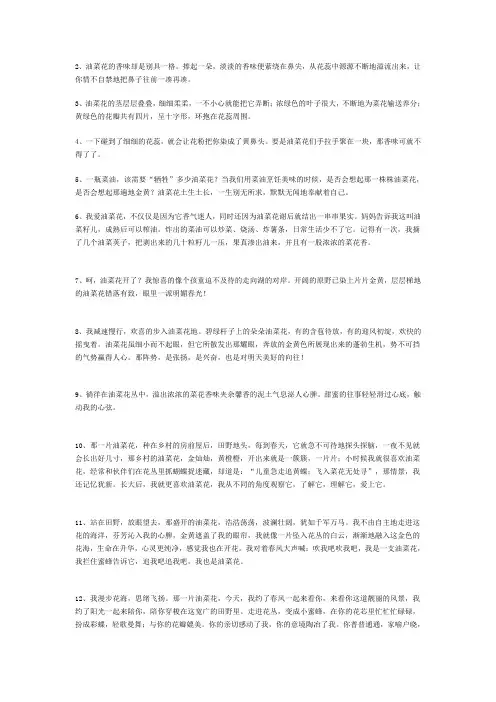 描写油菜花的优美句子