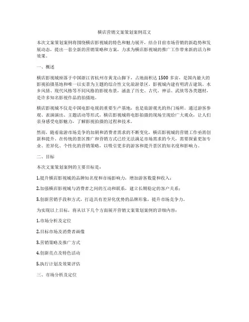 横店营销文案策划案例范文