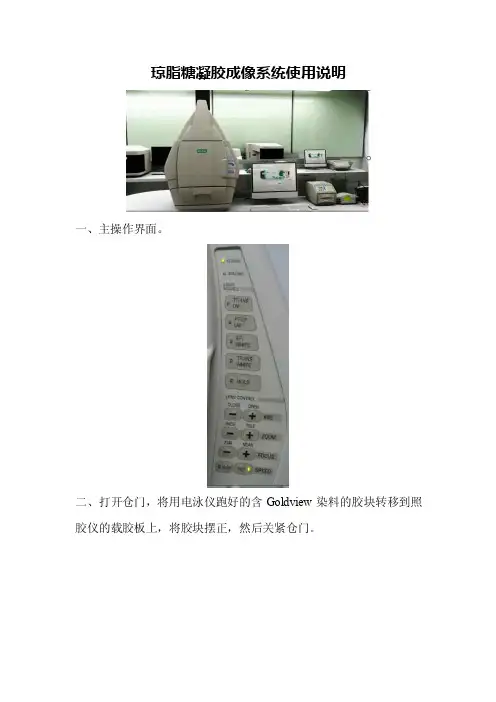 凝胶成像仪使用步骤及注意事项