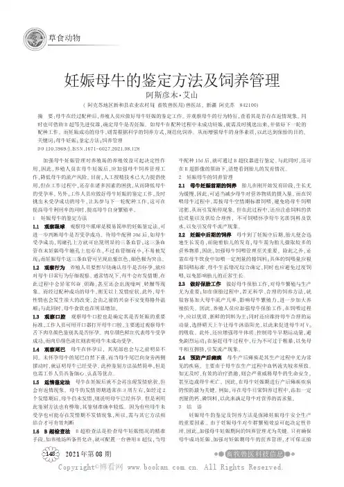妊娠母牛的鉴定方法及饲养管理