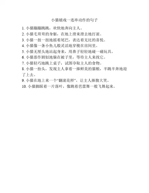 小猫嬉戏一连串动作的句子