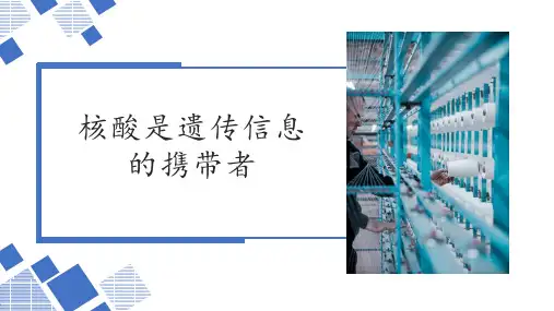 《核酸是遗传信息的携带者》PPT教学课件