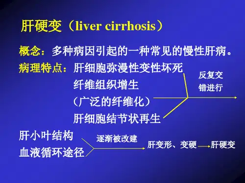 病理学—肝硬化