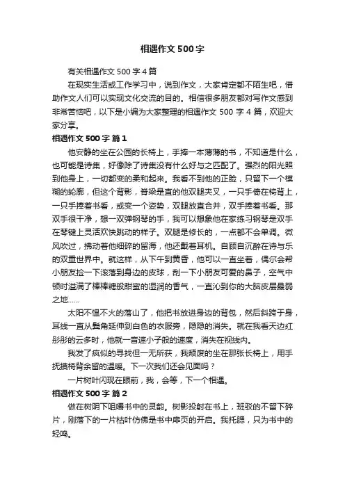 相遇作文500字