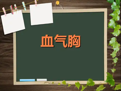 血气胸的护理要点PPT课件