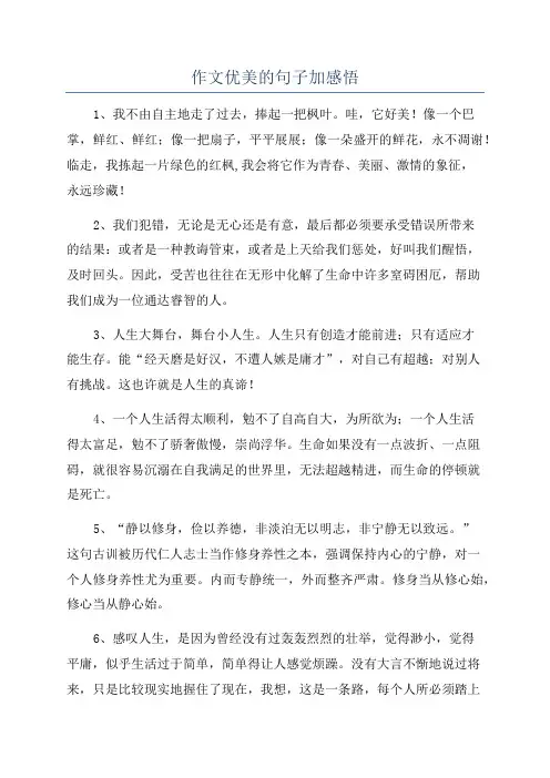 作文优美的句子加感悟