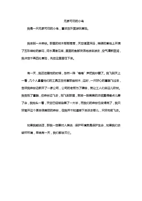 无家可归的小鸟
