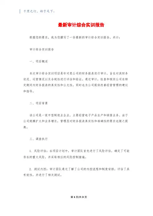 最新审计综合实训报告