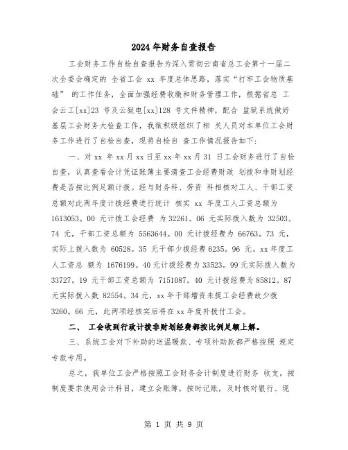 2024年财务自查报告(三篇)
