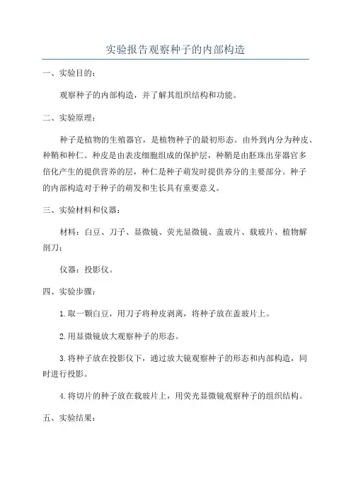 实验报告观察种子的内部构造
