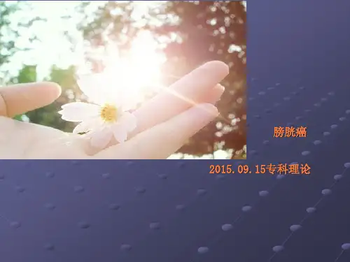 膀胱癌44069ppt课件