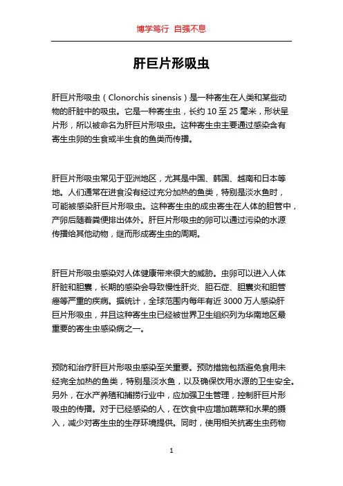 肝巨片形吸虫