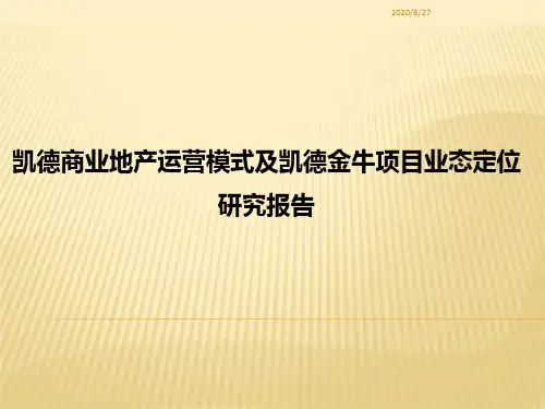 凯德商业地产运营模式及凯德金牛项目业态定位研究报告-45页