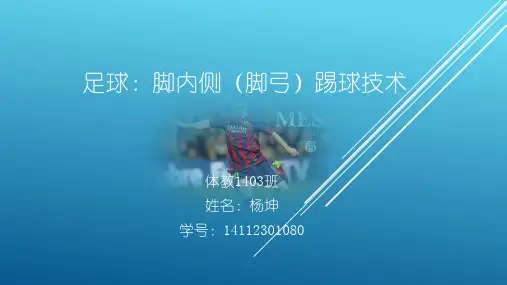 足球：脚内侧(脚弓)