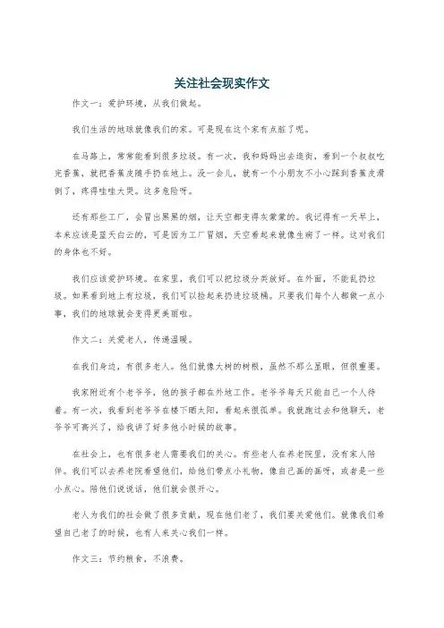 关注社会现实作文