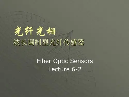 lctr6-2 波长调制型 (2)资料