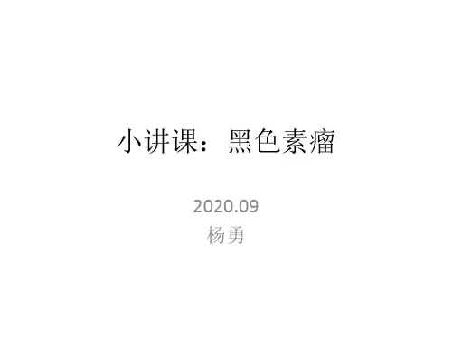 小讲课4黑色素瘤诊断