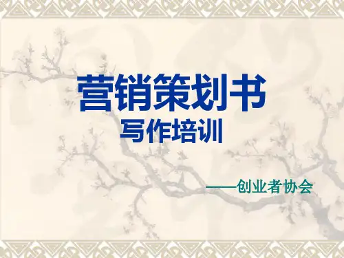 营销策划书写作培训.pptx