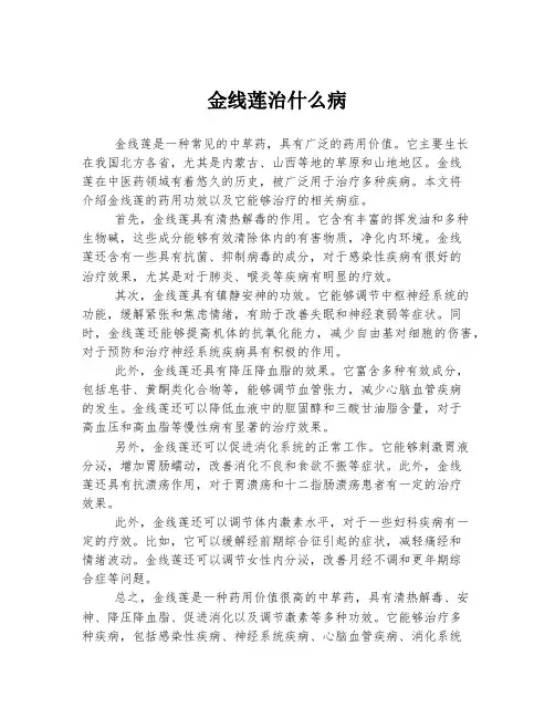金线莲治什么病