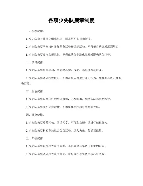 各项少先队规章制度