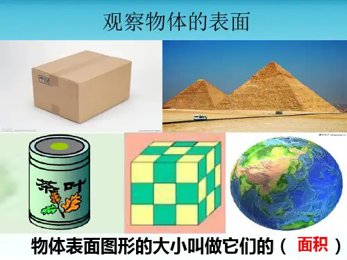 《公顷和平方千米》PPT课件