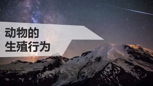 动物生殖行为ppt课件