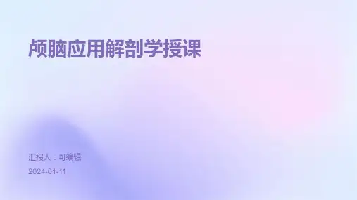颅脑应用解剖学授课PPT