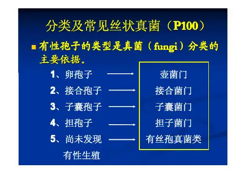 023丝状真菌分类及常见丝状真菌(钱)zxx