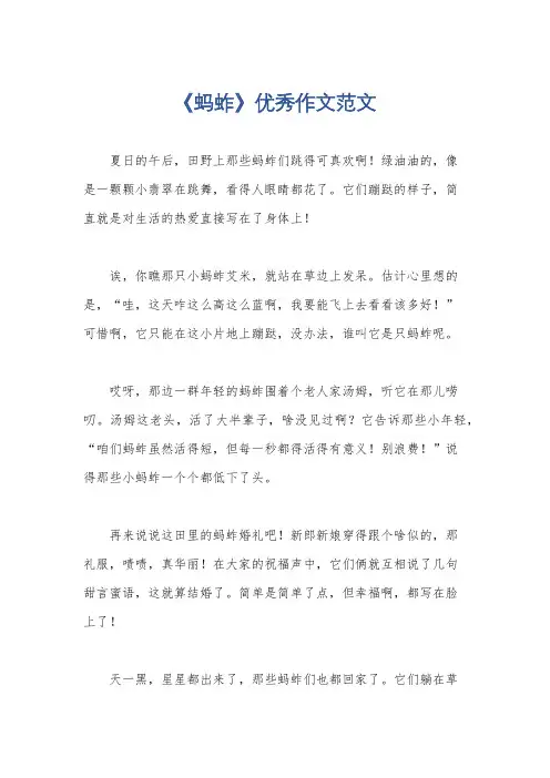 《蚂蚱》优秀作文范文