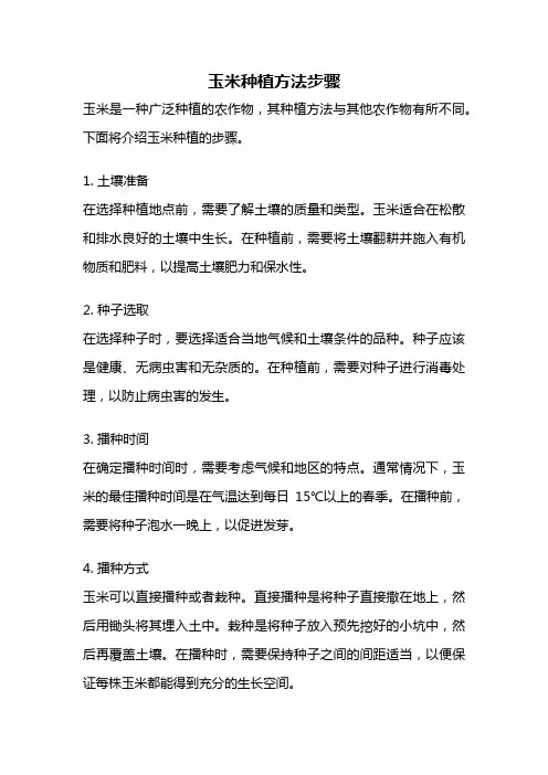 玉米种植方法步骤