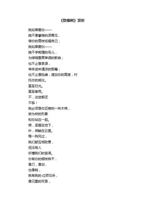《致橡树》赏析