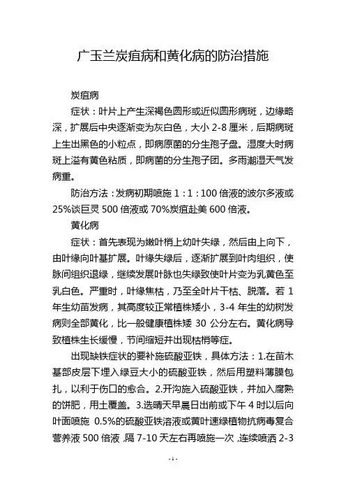 广玉兰炭疽病和黄化病的防治措施
