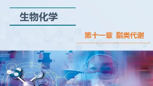 《生物化学》-第十一章