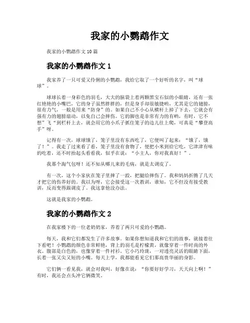 我家的小鹦鹉作文