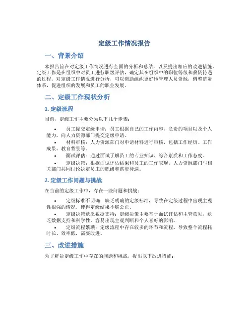 定级工作情况报告