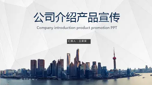 大气公司企业简介模板